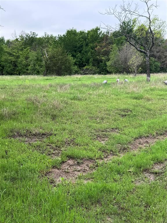 1885 Nw Cr 2162 Property Photo 13