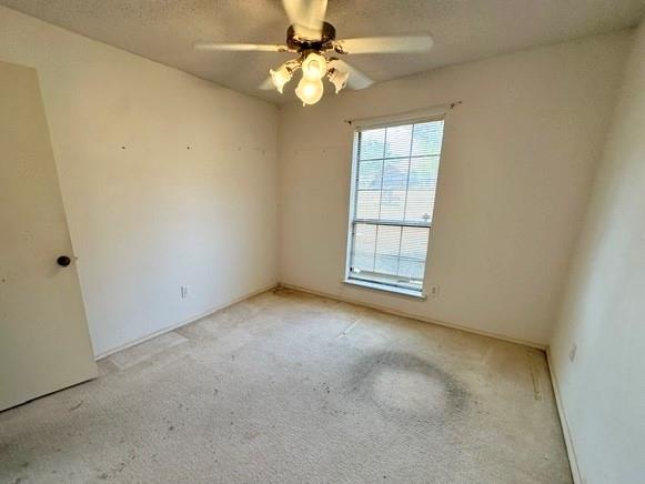 503 Pin Oak Drive Property Photo 12