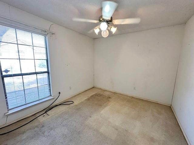 503 Pin Oak Drive Property Photo 13