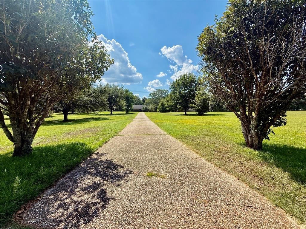 2534 Highway 146 Property Photo 3