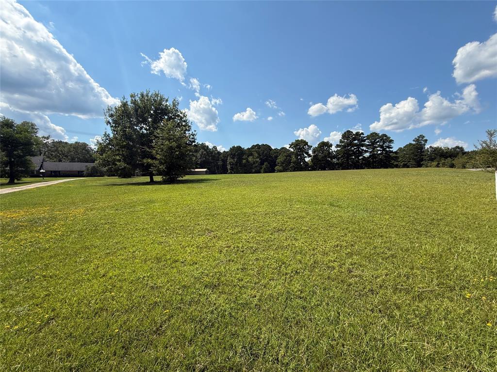 2534 Highway 146 Property Photo 4