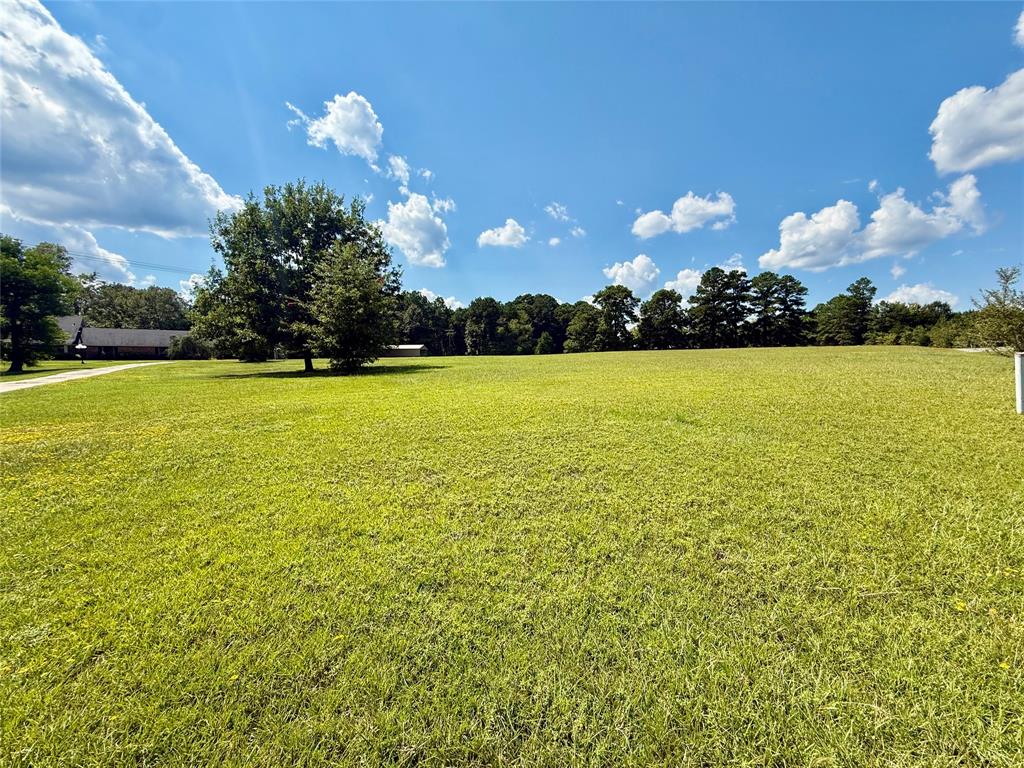 2534 Highway 146 Property Photo 5