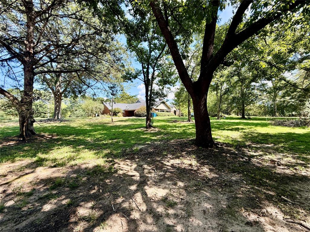 2534 Highway 146 Property Photo 9