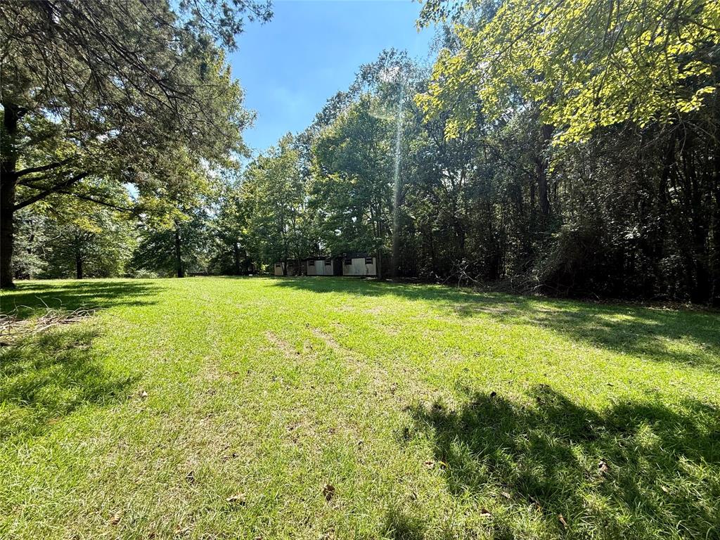 2534 Highway 146 Property Photo 10
