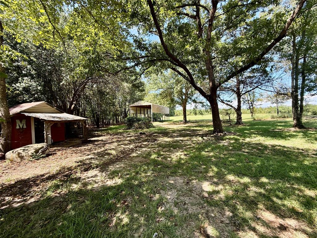 2534 Highway 146 Property Photo 11