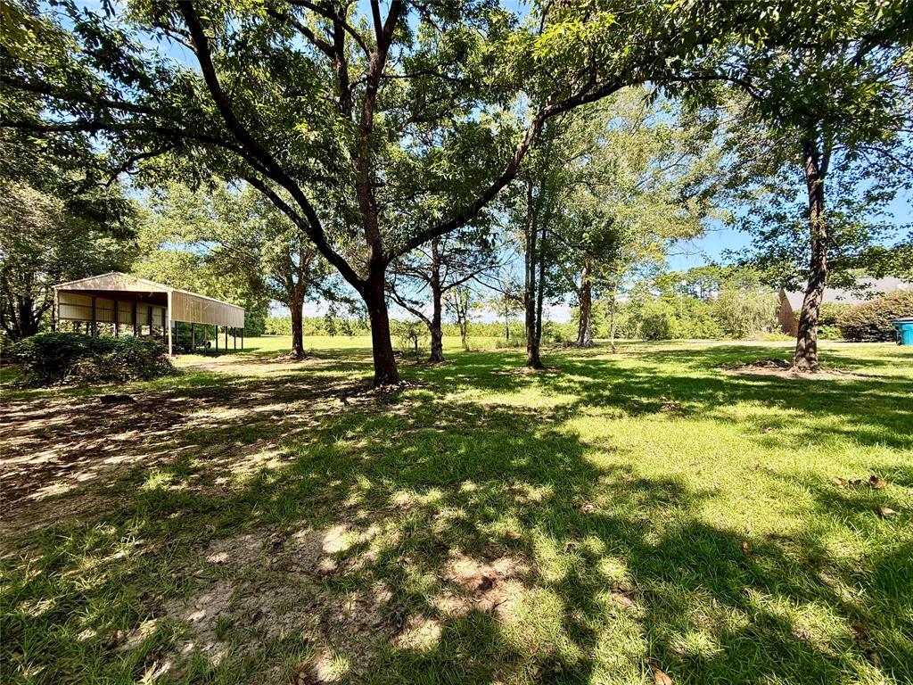 2534 Highway 146 Property Photo 12