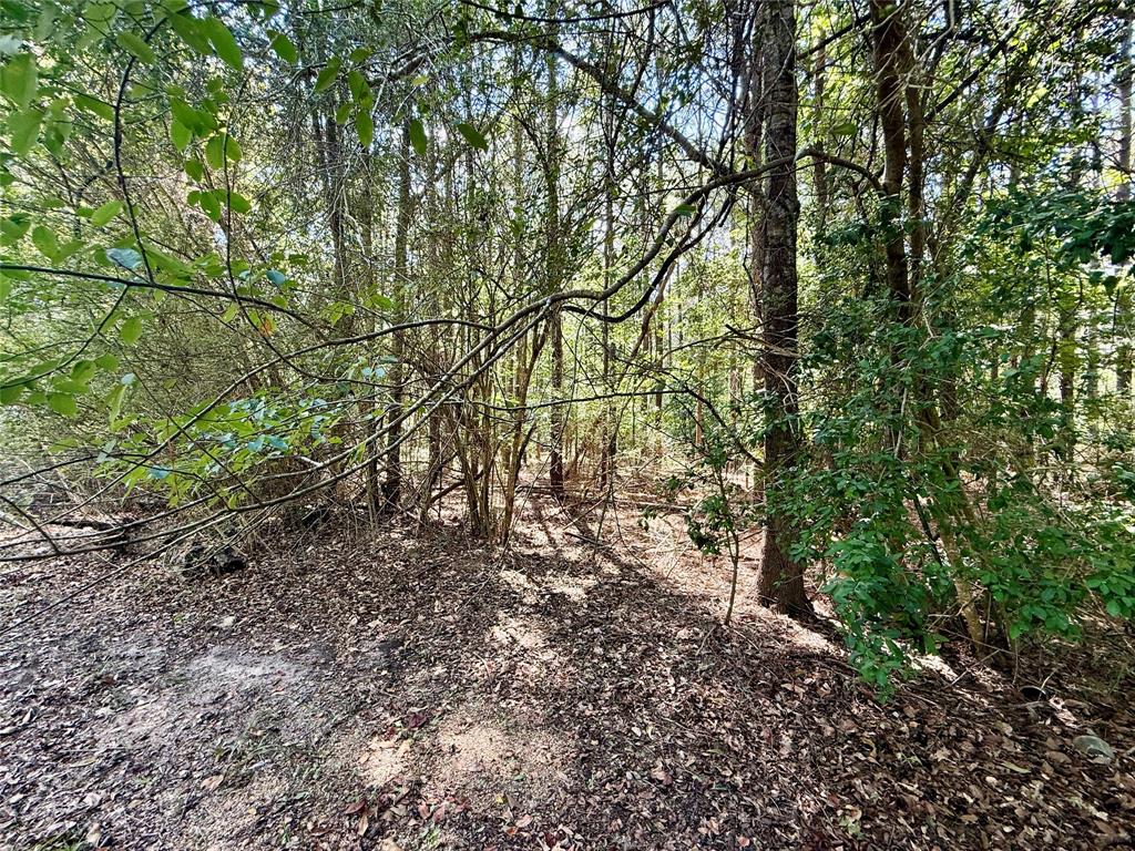 2534 Highway 146 Property Photo 14