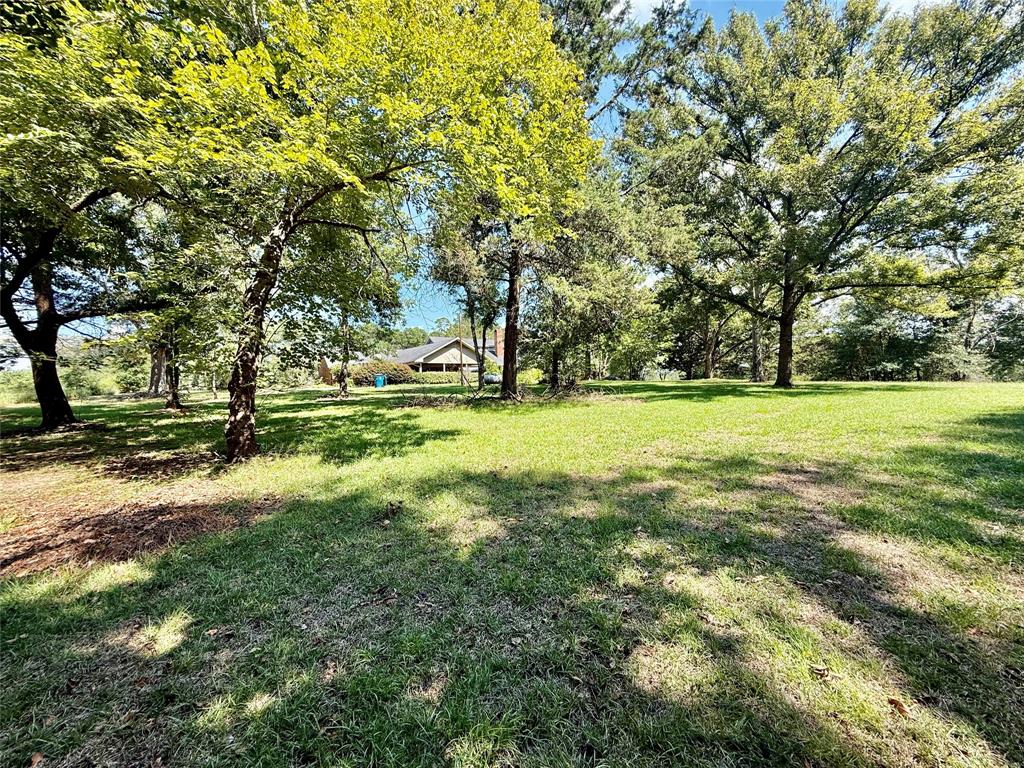 2534 Highway 146 Property Photo 15