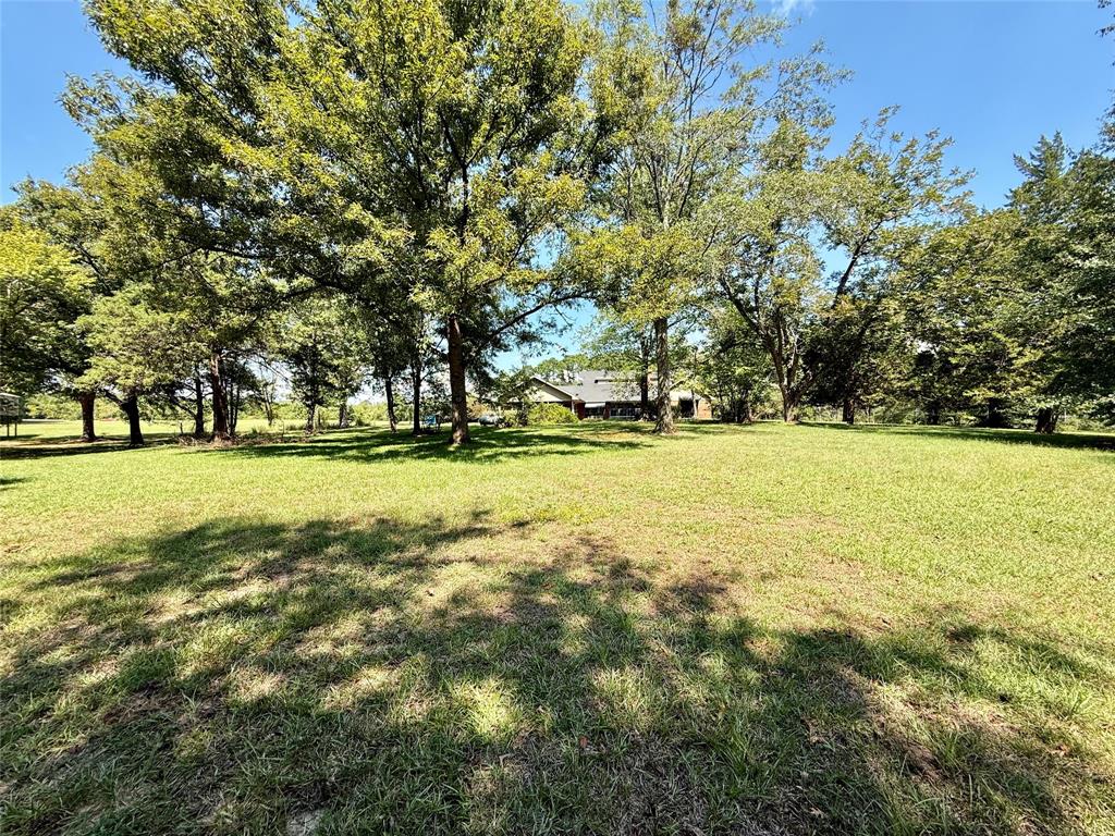 2534 Highway 146 Property Photo 17