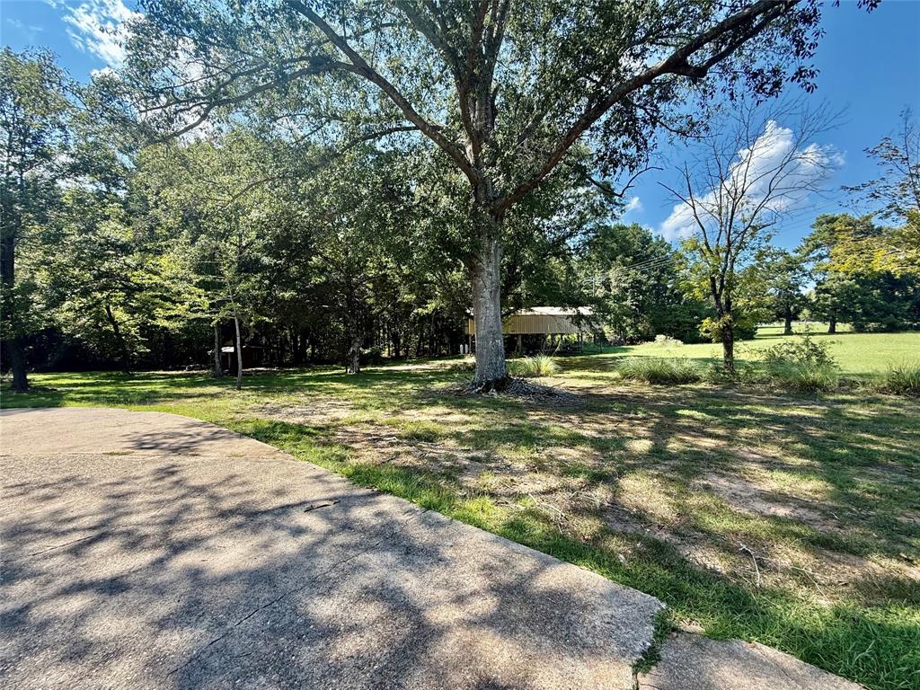 2534 Highway 146 Property Photo 31