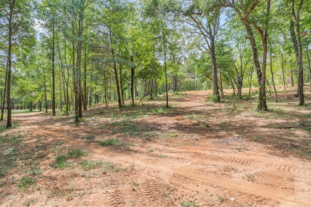 516 Willingham Road Property Photo 1