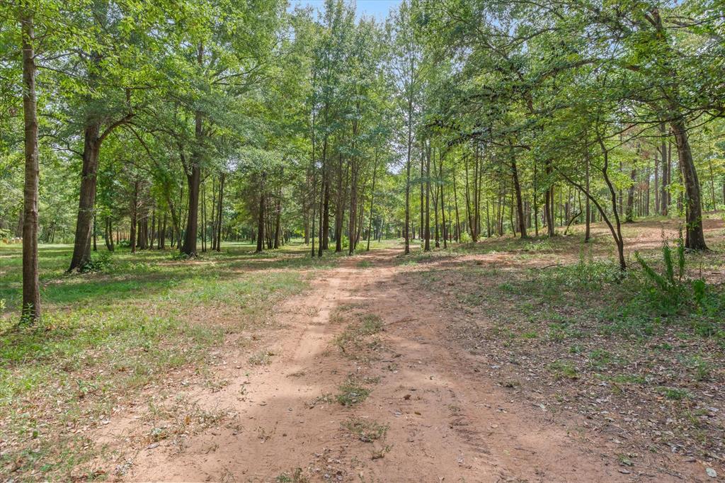 516 Willingham Road Property Photo 2