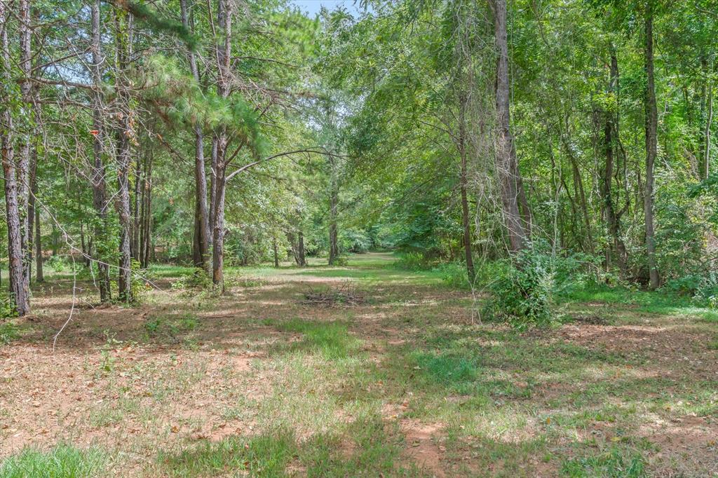 516 Willingham Road Property Photo 8