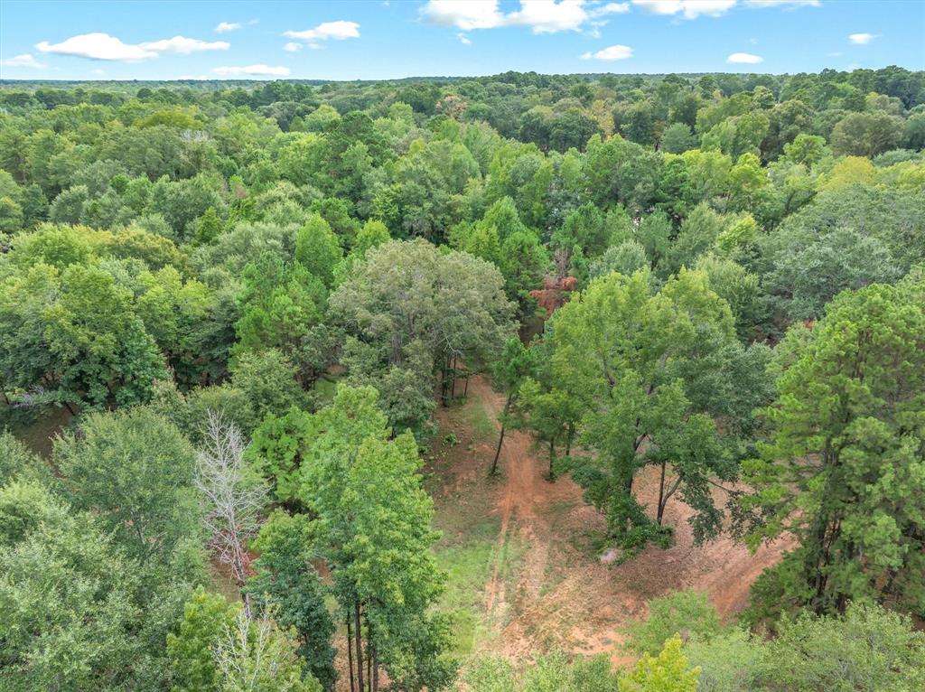 516 Willingham Road Property Photo 10