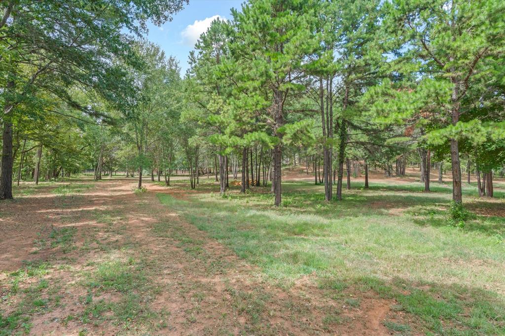 516 Willingham Road Property Photo 11
