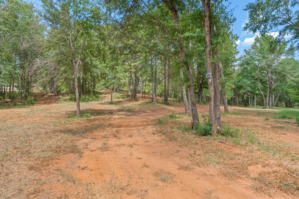 516 Willingham Road Property Photo 13