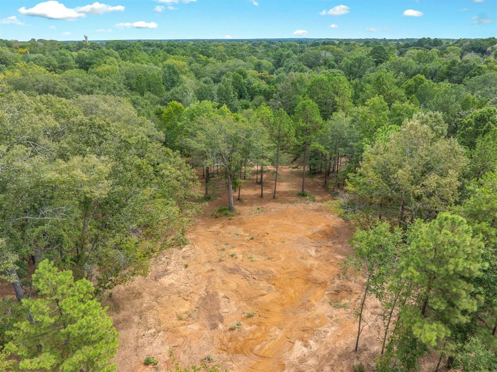 516 Willingham Road Property Photo 14