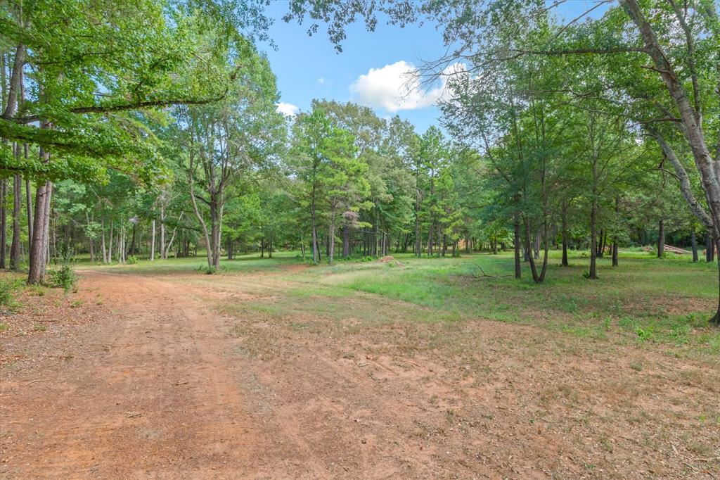 516 Willingham Road Property Photo 15