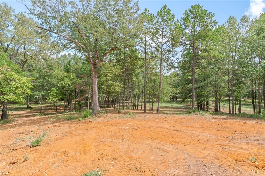 516 Willingham Road Property Photo 16