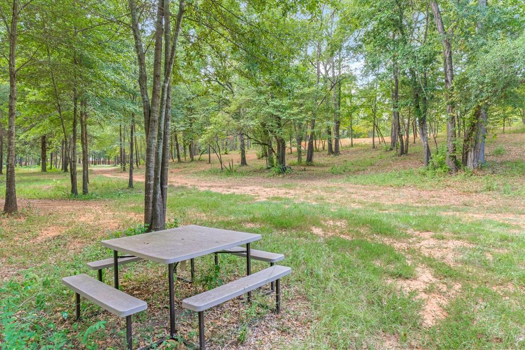 516 Willingham Road Property Photo 19