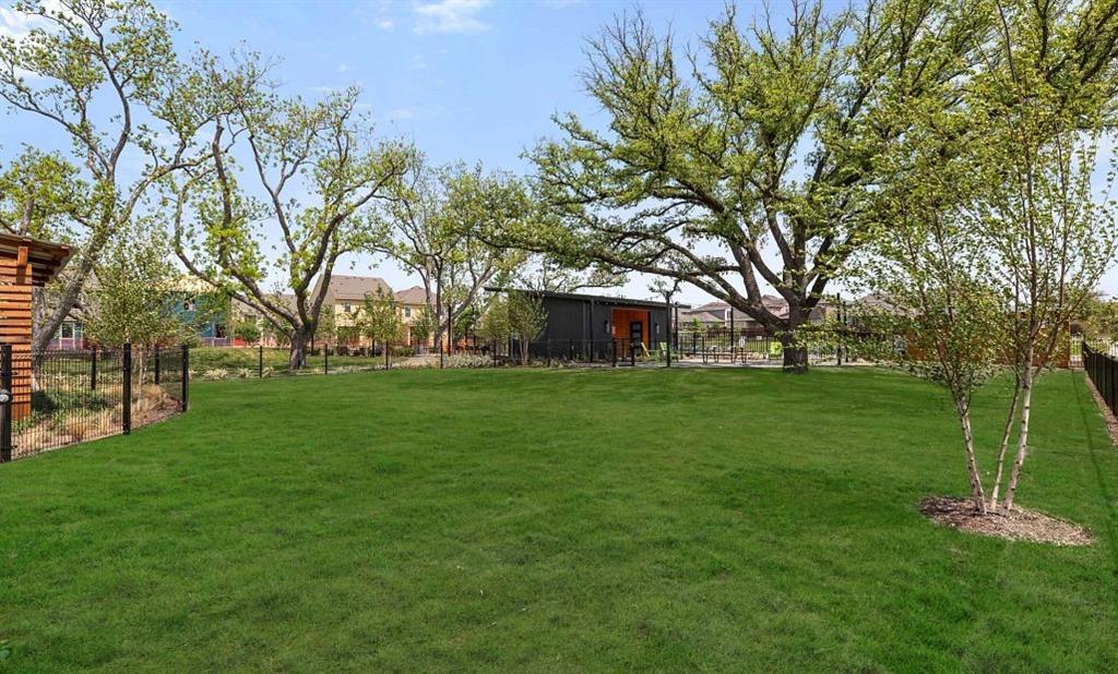 2509 Lost Maples Lane Property Photo 29