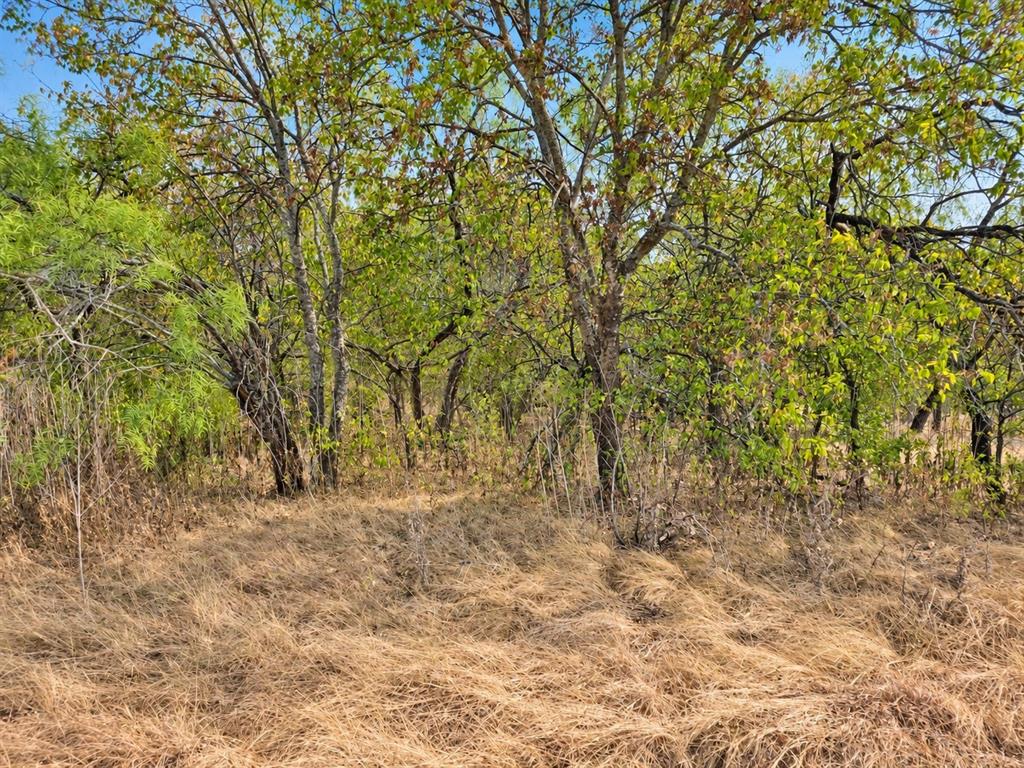 156 Private Road 226 Property Photo 7
