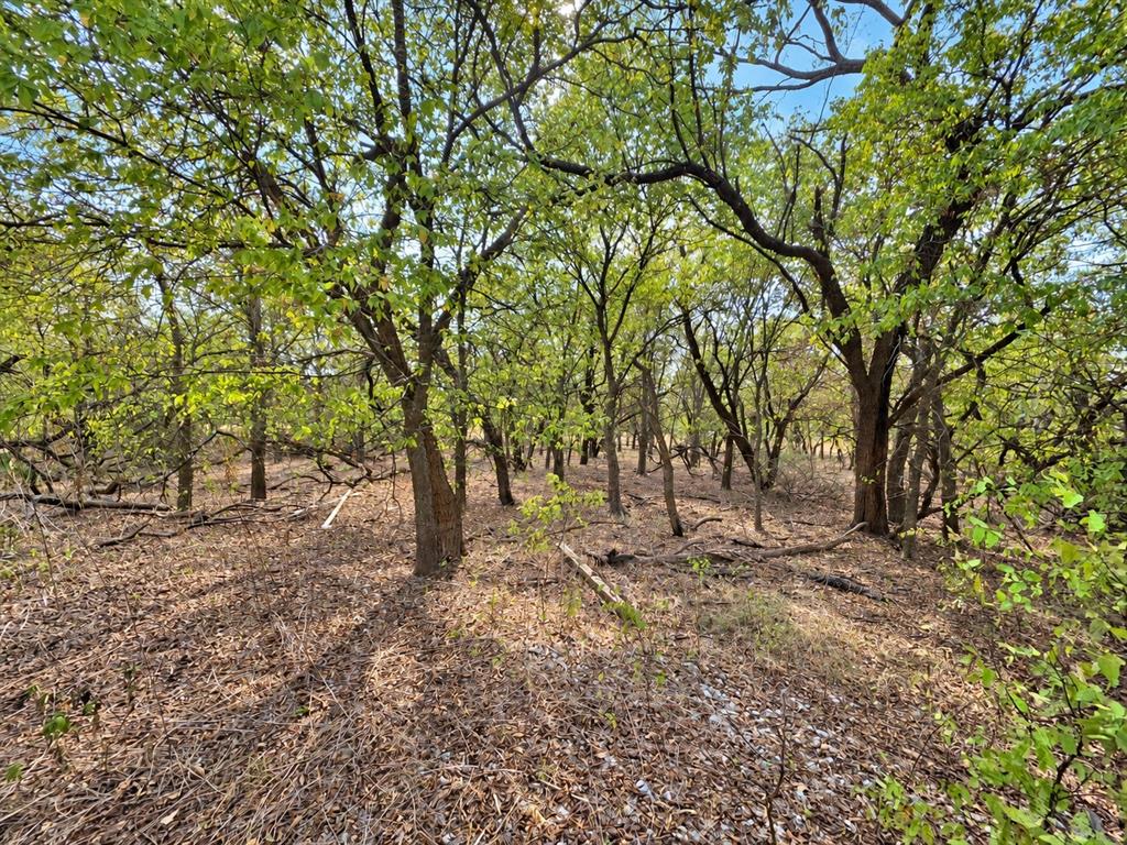 156 Private Road 226 Property Photo 9