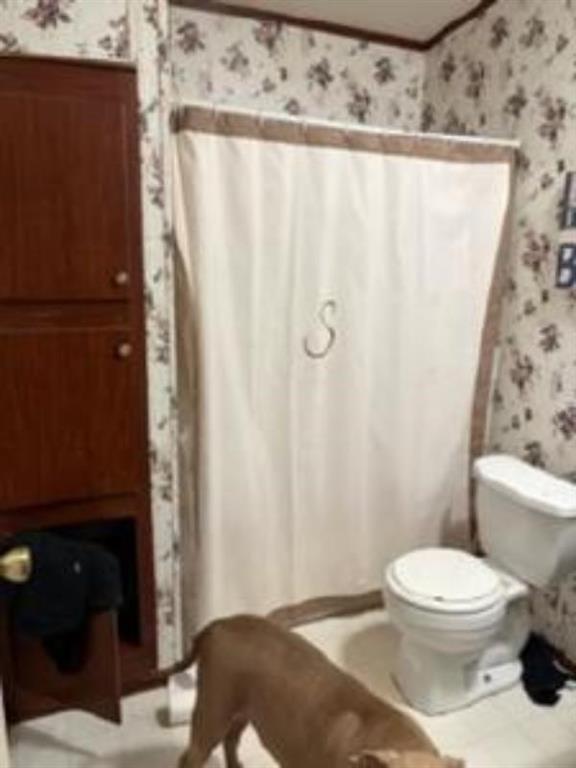 105 Seminole Street Property Photo 21