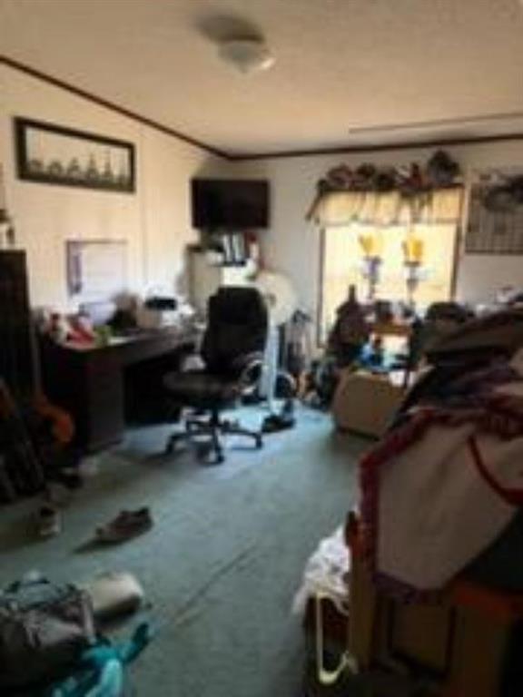 105 Seminole Street Property Photo 34
