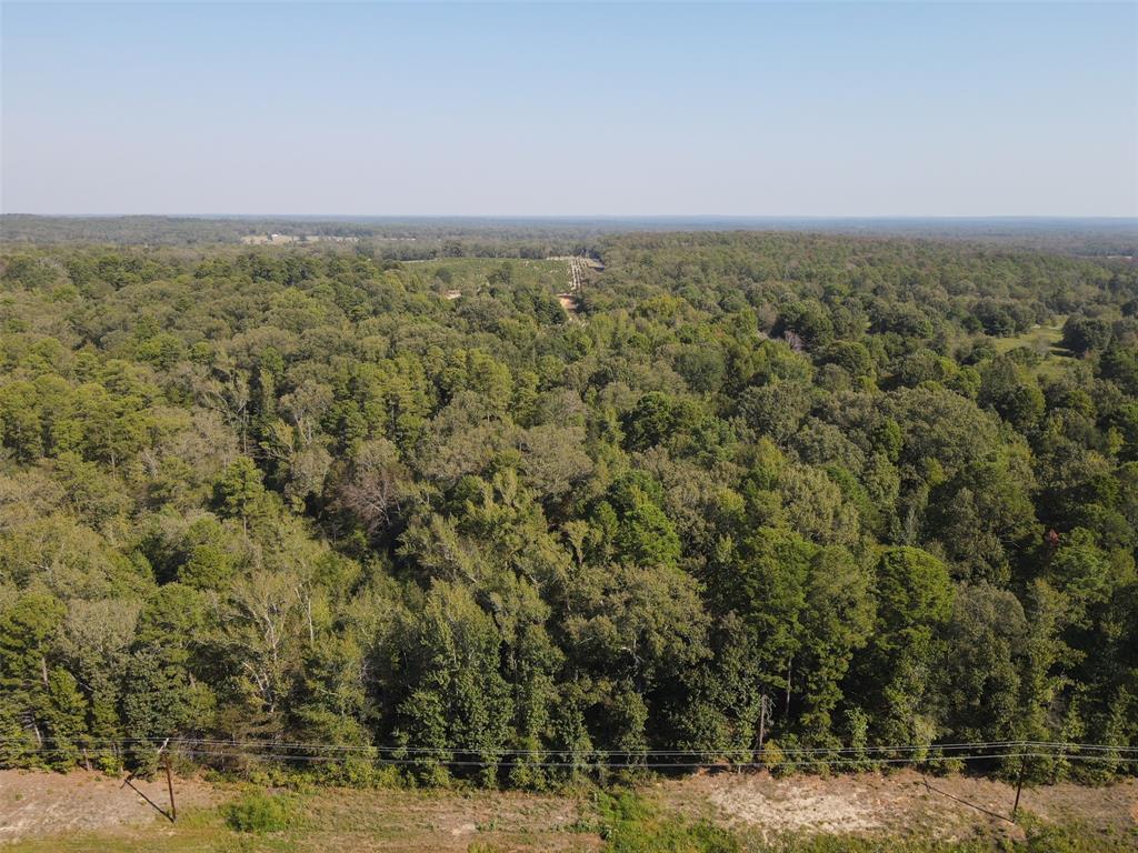 5015 Fm 49 Property Photo 6