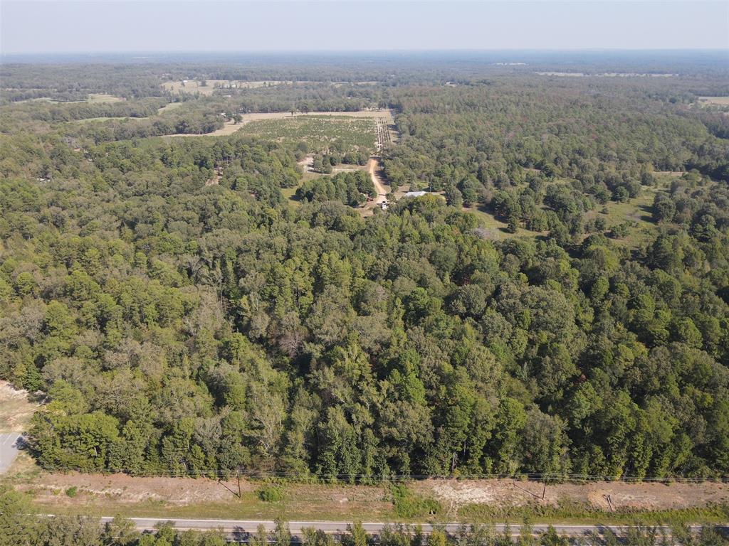 5015 Fm 49 Property Photo 7