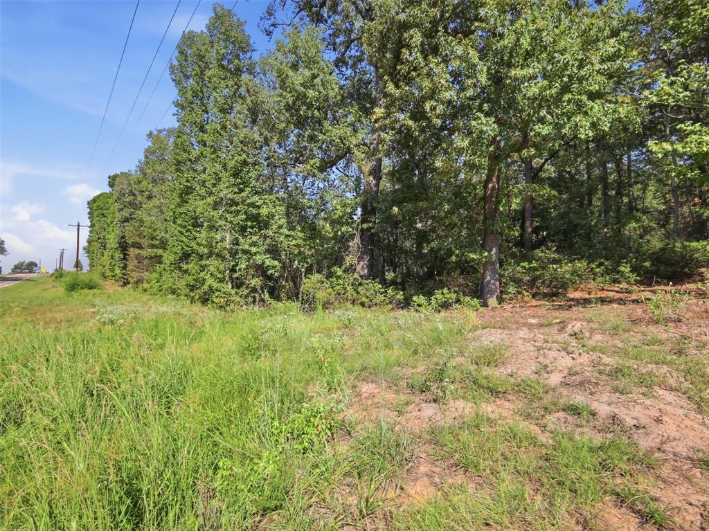 5015 Fm 49 Property Photo 10