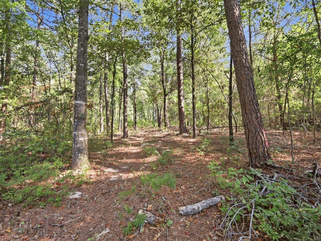 5015 Fm 49 Property Photo 12