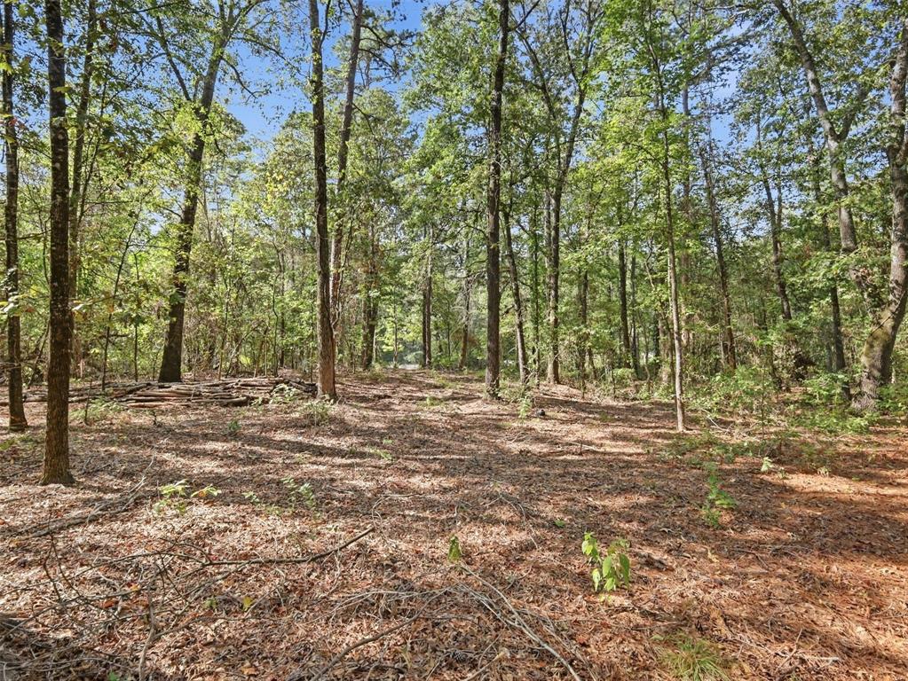 5015 Fm 49 Property Photo 13