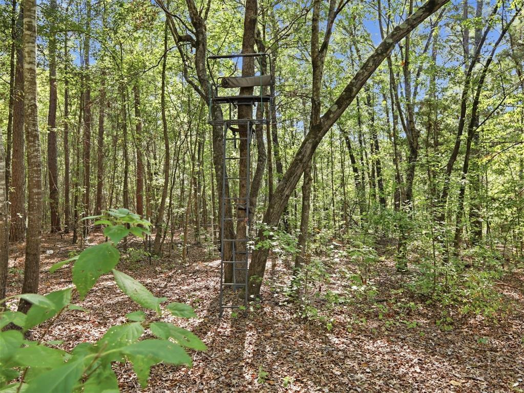 5015 Fm 49 Property Photo 15