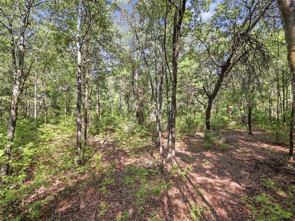 5015 Fm 49 Property Photo 17