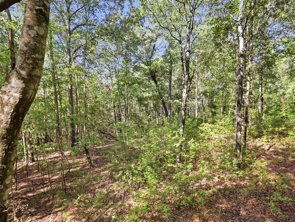 5015 Fm 49 Property Photo 18