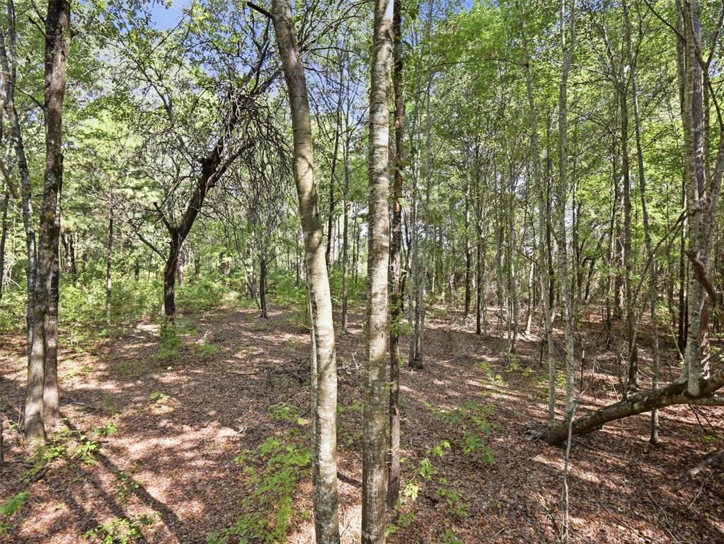 5015 Fm 49 Property Photo 19