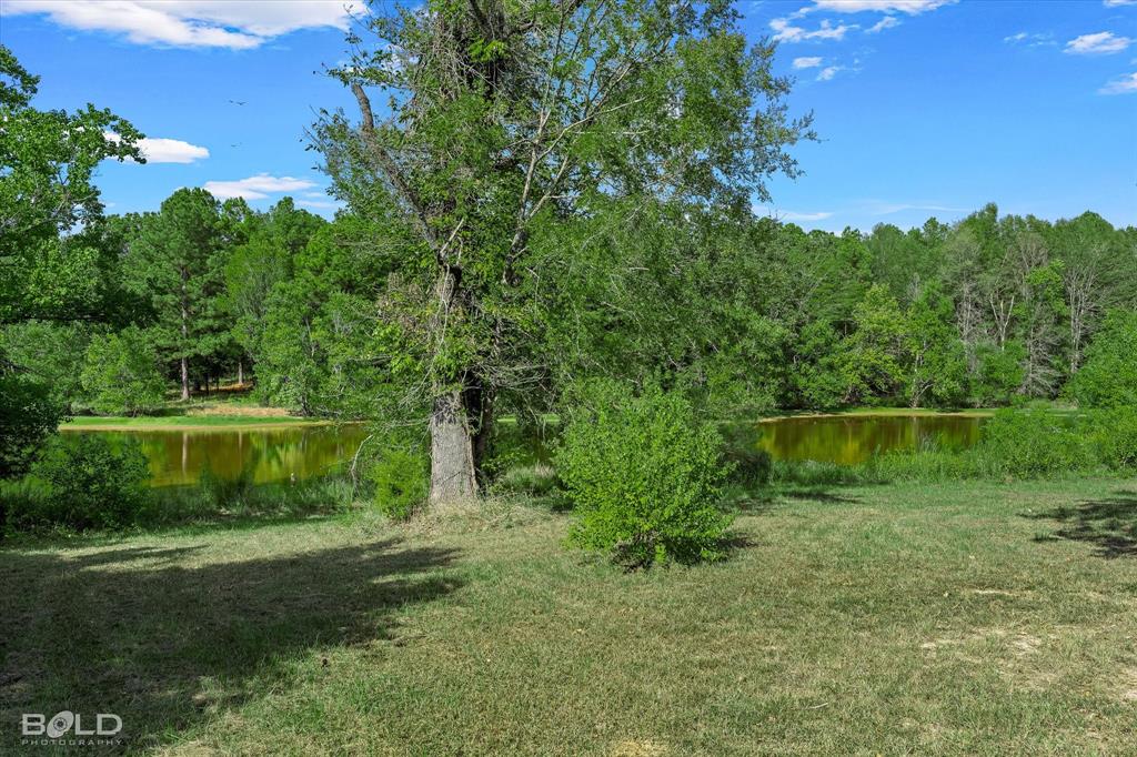 6442 Highway 527 Property Photo 38