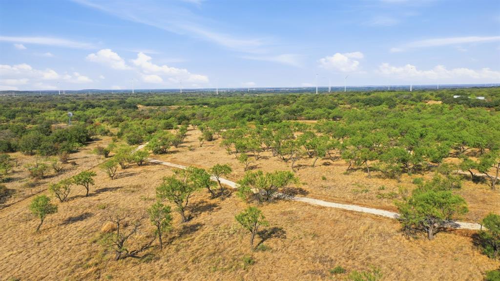 662 County Road 109 Property Photo 19