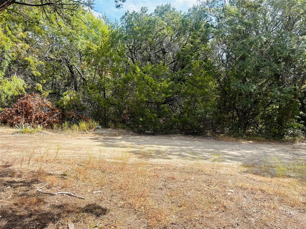 Tbd Giant Cedar Trl Property Photo 1