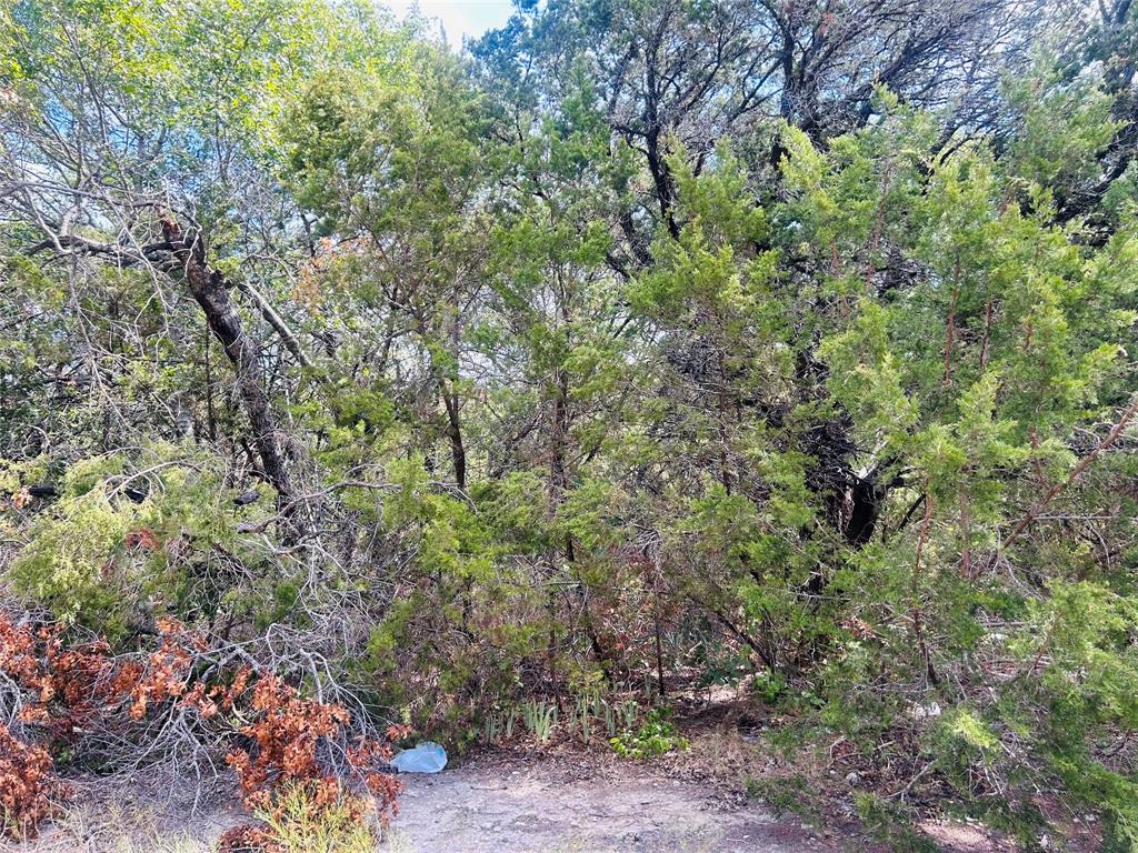 Tbd Giant Cedar Trl Property Photo 2