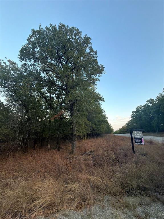 100 Bandera Drive Property Photo 2