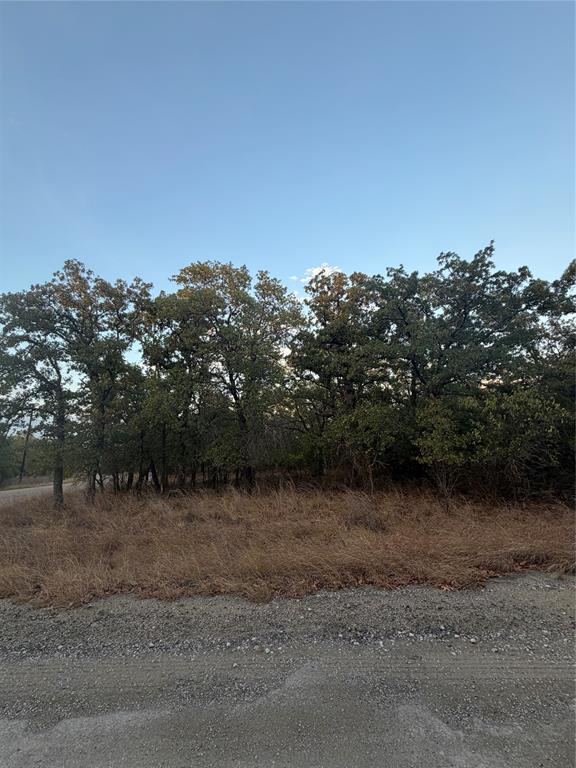 100 Bandera Drive Property Photo 4