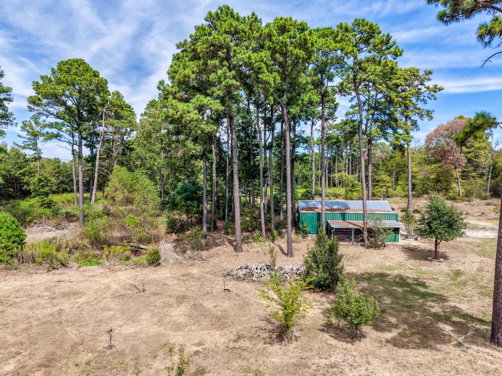 128 County Road 4849 Property Photo 17