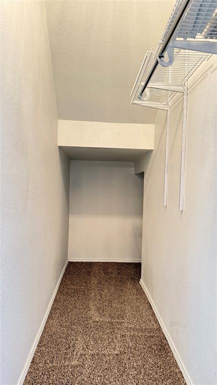 1009 Bruni Court Property Photo 16
