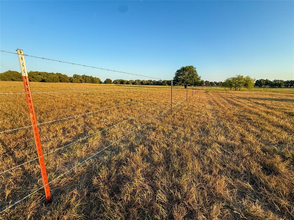 455 County Rd 1650 Property Photo 11