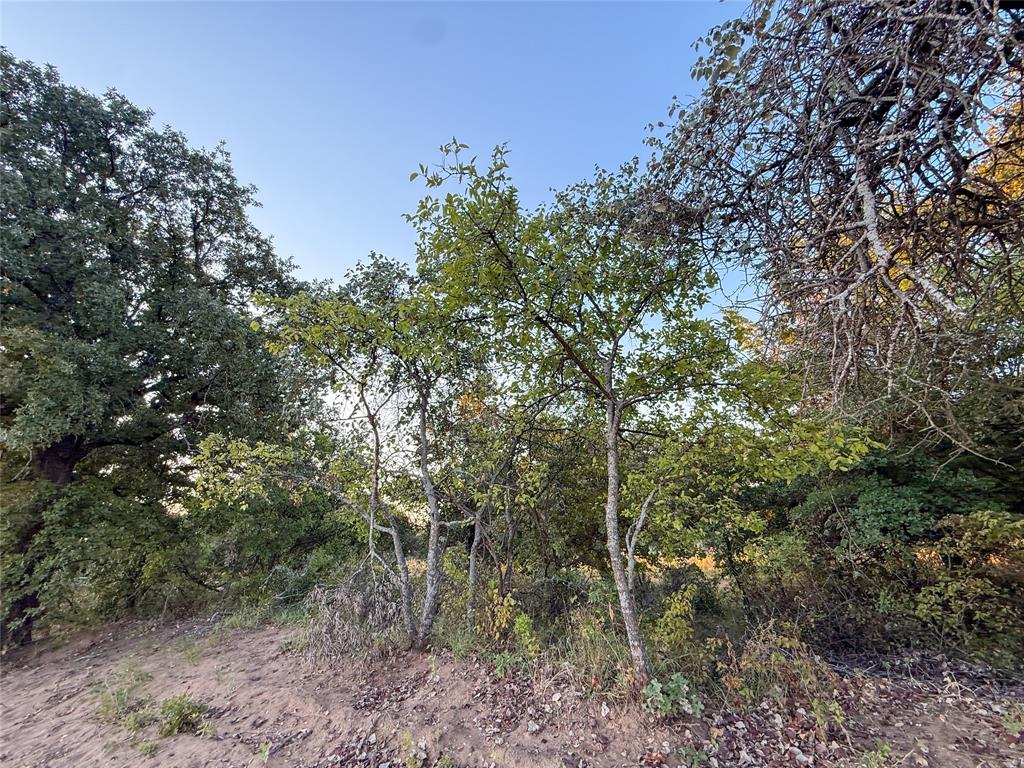 481 County Rd 1650 Property Photo 14
