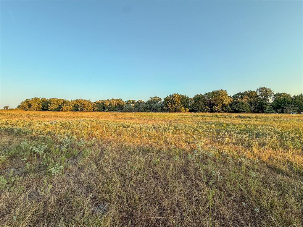 481 County Rd 1650 Property Photo 18