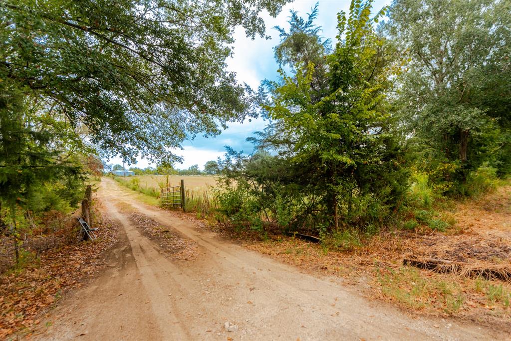 1262 Fm 1647 Property Photo 4